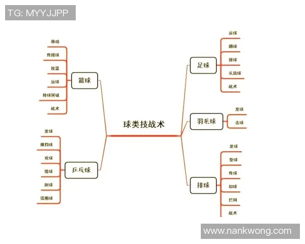 武汉排球队的整体压制策略与战术分析深度解析 武汉排球队的整体压制策略与战术分析深度解析